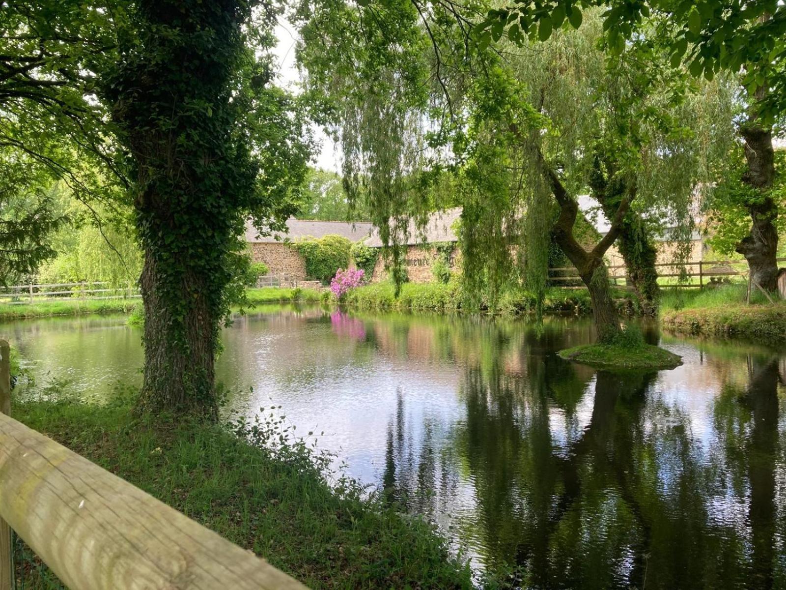 La Demeure Romantique Bazouges-sous-Hede Zewnętrze zdjęcie